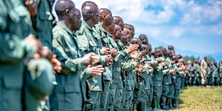 RDC : Kinshasa dénonce la formation de 7 000 nouveaux combattants par l’AFC/M23