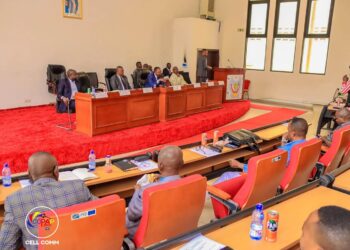 Kinshasa : Lévi Mbuta en retrait, Germaine Tshinyama prend les rênes de l’Assemblée provinciale