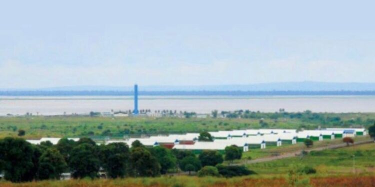 DAIPN : Le grenier de Kinshasa menacé par des convoitises foncières