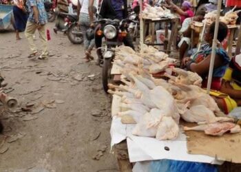 Kinshasa déclare la guerre à l’insalubrité alimentaire