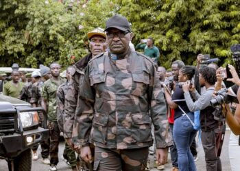 RDC – Rwanda : Washington, Bruxelles et l’ONU saluent l’appel de la RDC aux FDLR à déposer les armes