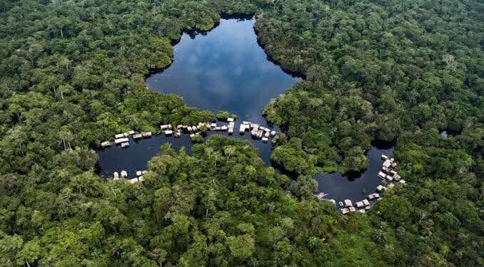 Colloque international sur la mise en œuvre de l’Accord de Paris dans le bassin du Congo : 10 ans d’actions et de défis