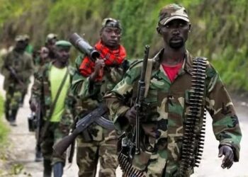 Nord-Kivu : Les FDLR annoncent leur reddition