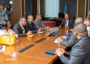 RDC : Adolphe Muzito reçoit le Synamed