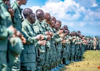 RDC : Le gouvernement dénonce 123 assassinats et des centaines d’exactions commis par le M23/AFC en octobre