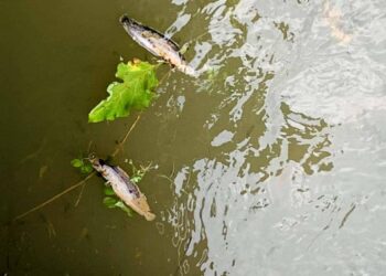 Pollution acide à Lubumbashi : La gouvernance minière congolaise à l’épreuve