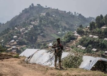 Est de la RDC : Washington et plusieurs capitales européennes exigent l’arrêt immédiat de l’offensive M23/Rwanda