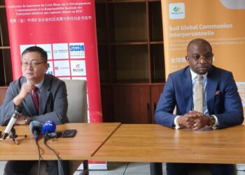 Kinshasa renforce la coopération sino-congolaise en formation professionnelle