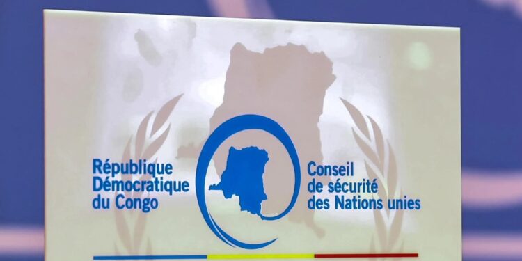 La RDC au Conseil : deux ans pour convaincre
