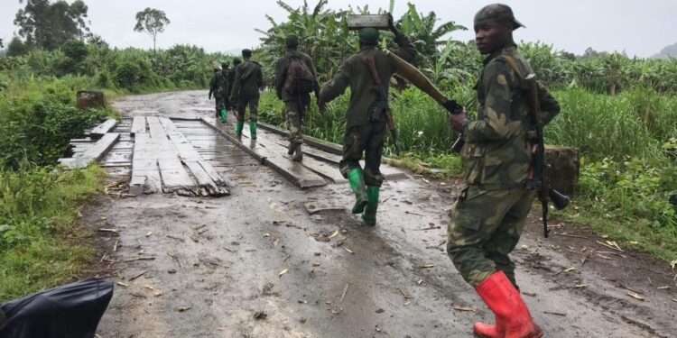 RDC : 9 éléments de l’AFC/M23 se rendent aux FARDC à Walikale