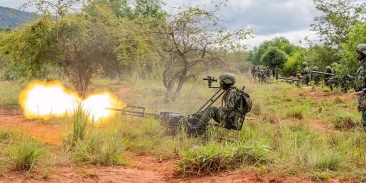 Nord-Kivu : cessez-le-feu en sursis, guerre en mouvement