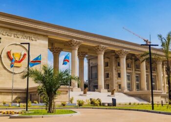 Kinshasa : l’opposant “Maîtrisable” écope de deux ans de prison