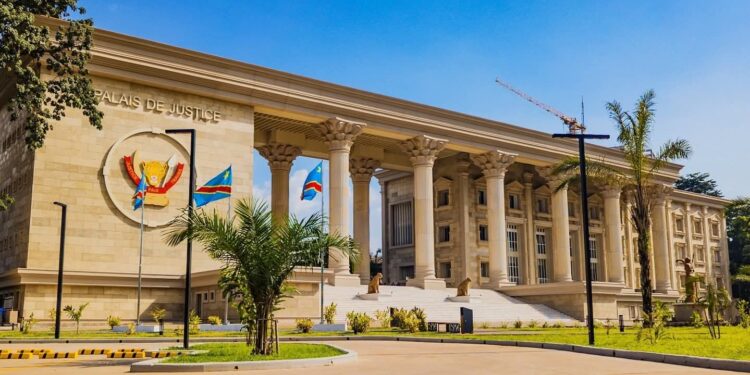 Kinshasa : l’opposant “Maîtrisable” écope de deux ans de prison