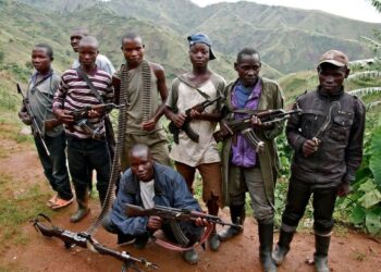 RDC : À Kisangani, les FARDC passent à l’offensive contre les FDLR