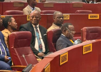 Sénat : Bahati Lukwebo tourne la page, la commission spéciale referme le dossier