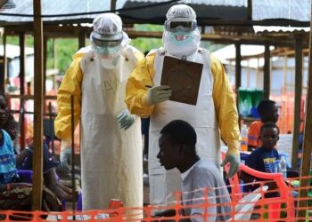 Ebola en RDC : une nouvelle souche de Bundibugyo inquiète