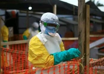 Ebola : un anticorps expérimental américain suscite l’espoir, Kinshasa veut lancer des essais cliniques