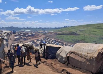 Crise humanitaire en Ituri : plus de 100 000 nouveaux déplacés en quelques mois