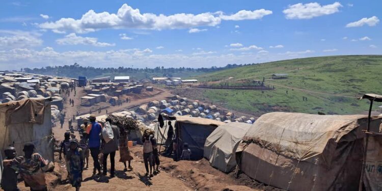 Crise humanitaire en Ituri : plus de 100 000 nouveaux déplacés en quelques mois