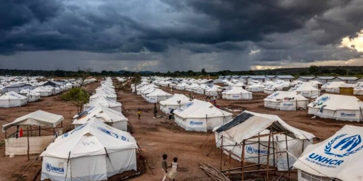 Réfugiés et sécurité régionale : Kinshasa s’apprête à accueillir une réunion stratégique RDC–Burundi–HCR