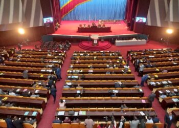 Réforme constitutionnelle : une Assemblée constituante à large spectre se dessine
