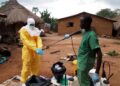 Ebola : 50 millions de dollars pour freiner l’épidémie