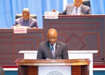L&rsquo;Assemblée nationale habilite le Gouvernement à légiférer pendant les vacances parlementaires
