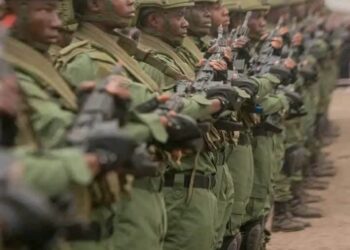 FARDC : plus de 12 000 soldats des unités spéciales achèvent leur formation intensive