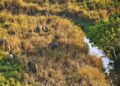 Patrimoine mondial : le Parc national de la Garamba sort enfin de la liste rouge de l&rsquo;UNESCO