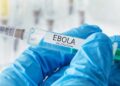 Vaccin contre Ebola Bundibugyo : l&rsquo;OMS salue une avancée majeure, tandis que la RDC poursuit sa lutte contre la 17ᵉ épidémie