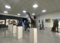 Centre Wallonie-Bruxelles : l’exposition « Territoire du Vivant » met l’art au service de l’écologie