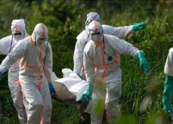Ebola en RDC : plus de 1 650 morts, l&rsquo;Ituri reste l&rsquo;épicentre de l&rsquo;épidémie
