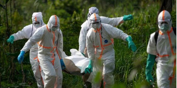 Ebola en RDC : plus de 1 650 morts, l&rsquo;Ituri reste l&rsquo;épicentre de l&rsquo;épidémie