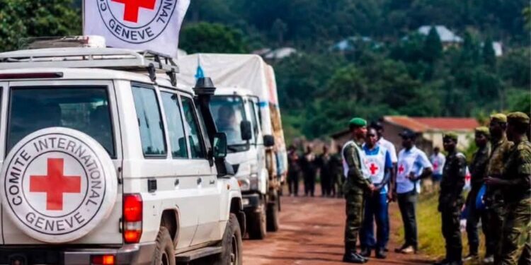 RDC : Kinshasa remet 15 détenus à l’AFC/M23, une première dans le cadre du mécanisme de Doha