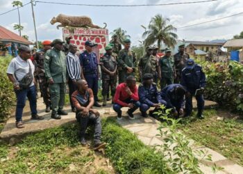 FDLR : après le protocole, les partenaires internationaux exigent désormais des actes