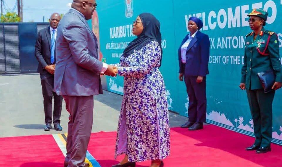 RDC–Tanzanie : Tshisekedi plaide pour une Afrique qui transforme ses richesses