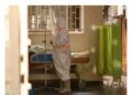 Ebola : la courbe descend, mais la vigilance reste de mise