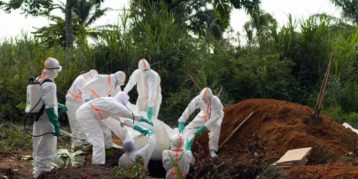 Ebola en RDC : plus de 8 000 cas confirmés et près de 4 000 décès