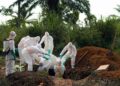 Ebola en RDC : plus de 8 000 cas confirmés et près de 4 000 décès