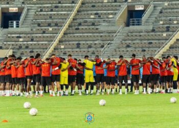 Léopards : la tanière change de visage, le travail continue