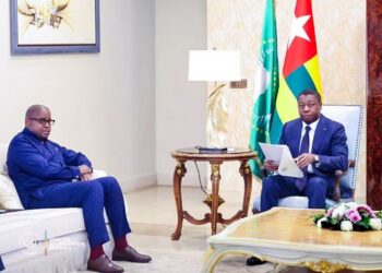 Reddition volontaire des FDLR : Kinshasa intensifie sa mobilisation diplomatique