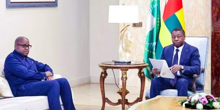 Reddition volontaire des FDLR : Kinshasa intensifie sa mobilisation diplomatique