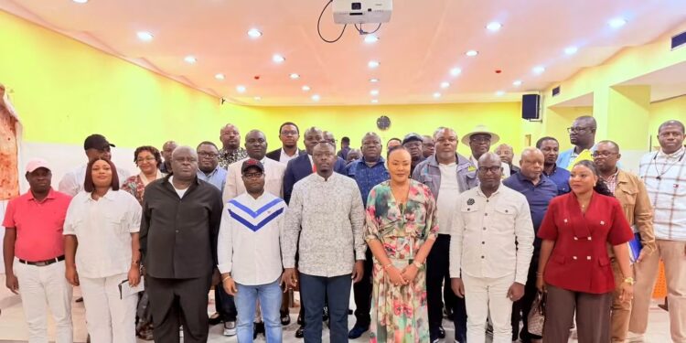 Électricité à Kinshasa : la SNEL face au défi d’une desserte régulière