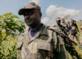 RDC-Rwanda : Washington salue le plan de démobilisation des FDLR