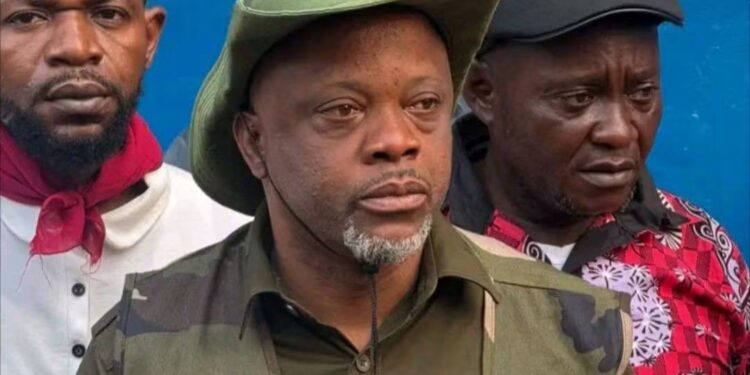 Affaire Fils Mukoko : l&rsquo;udps prend ses distances, la justice entre en scène
