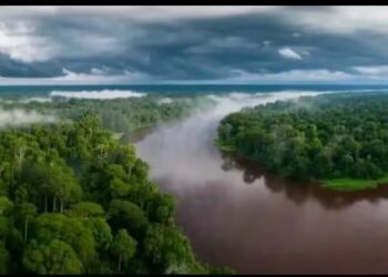 Fleuve Congo : Tshisekedi pose ses conditions à tout transfert des eaux