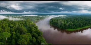 Fleuve Congo : Tshisekedi pose ses conditions à tout transfert des eaux