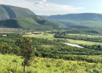 Climat : l’or vert à l’assaut du marché carbone